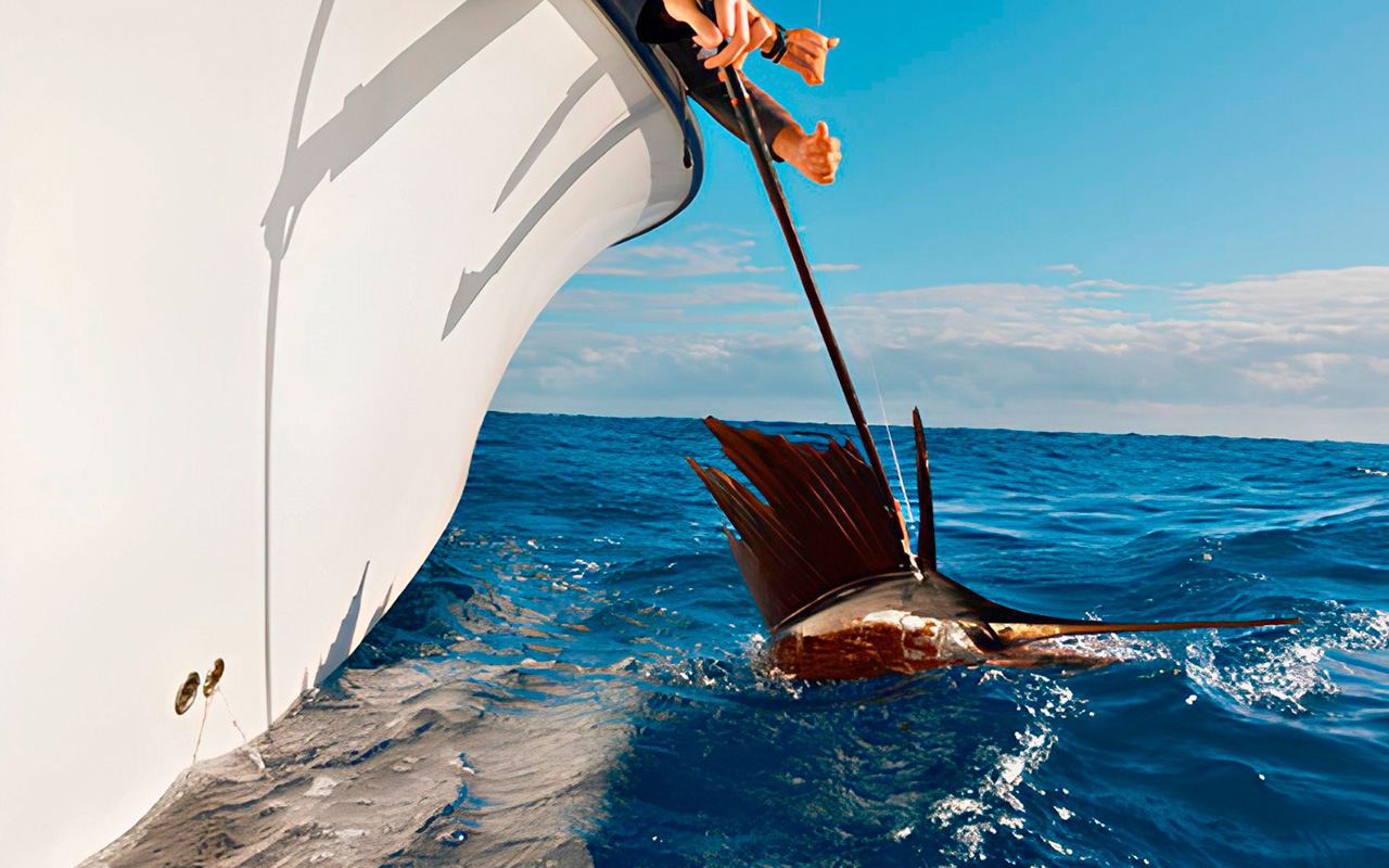 Billfish-Foundation-04